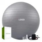 How to Choose Gym Balls for Schools and Training Centers