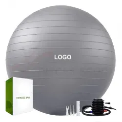 How to Choose Gym Balls for Schools and Training Centers